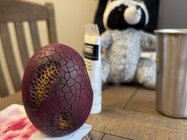 IMG_1948.jpeg