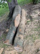 PXL_20250504_180513418.jpg