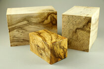 elm_blanks.jpg