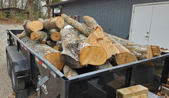 water_maple_trailer_20250307_154130.jpg