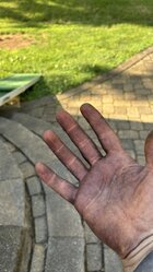 IMG_3227.jpeg