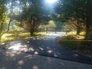 paved_gate.jpg