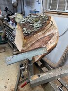 IMG_4140.jpeg