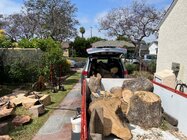 IMG_3973.jpeg