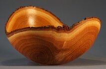 21072Bowl.JPG