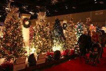 fantasyoftrees_2015_C.jpg