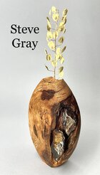 GraySteve.jpeg