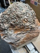 IMG_1996.jpeg