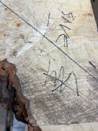 IMG_1998.jpeg