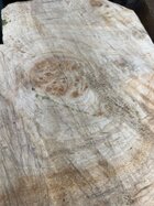 IMG_1997.jpeg