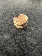 IMG_9419.jpeg