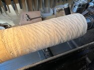 IMG_6867.jpeg