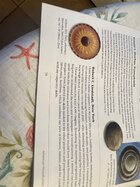 IMG_5018.jpeg