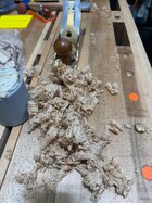 IMG_8093.jpeg