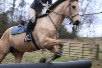 horse_jump_IMG_5284.jpg