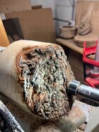 IMG_2067.jpeg