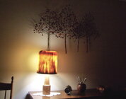 Black Cherry and Poplar.jpg