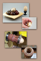 A127_eggs_com_A.jpg