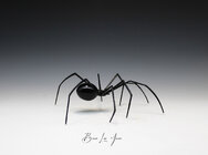 BJ_spider.jpg BJ_spider.jpg