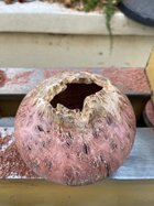 IMG_2386.jpeg
