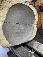 IMG_3526.jpeg