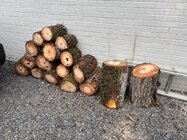 IMG_7540.jpeg