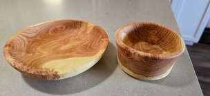 honeylocust.jpg