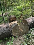 IMG_9051.jpeg