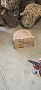 log1.jpg