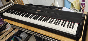 shop_piano_20241128_120611_cs.jpg