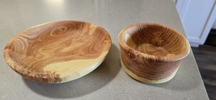 honeylocust.jpg