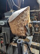 PXL_20250831_163159610.jpg
