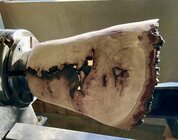 IMG_8513.jpeg