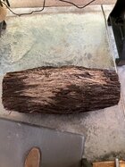 IMG_0226.jpg