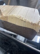 IMG_2979.jpeg