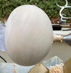 IMG_2824.jpeg