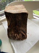 IMG_2516.jpeg