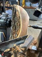 IMG_2139.jpeg