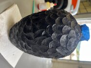 IMG_3248.jpeg