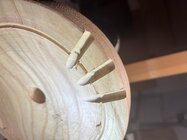 IMG_2560.jpeg