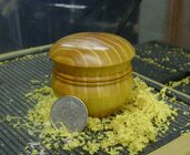 Osage Orange.JPG