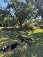 IMG_1367 (1).JPEG
