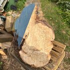 IMG_9755.jpeg