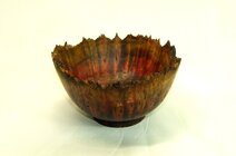 Siberian Elm burl #2.jpg