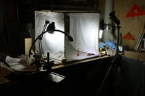 1762897269461.jpeg 1762897269461.jpeg