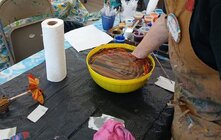 20250531_152202 sm.jpg