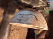 1000001845.jpg 1000001845.jpg