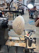 IMG_2650.jpeg IMG_2650.jpeg