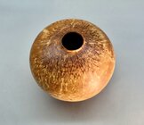 IMG_0256.jpeg IMG_0256.jpeg