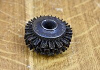 IMG_6917.jpeg IMG_6917.jpeg